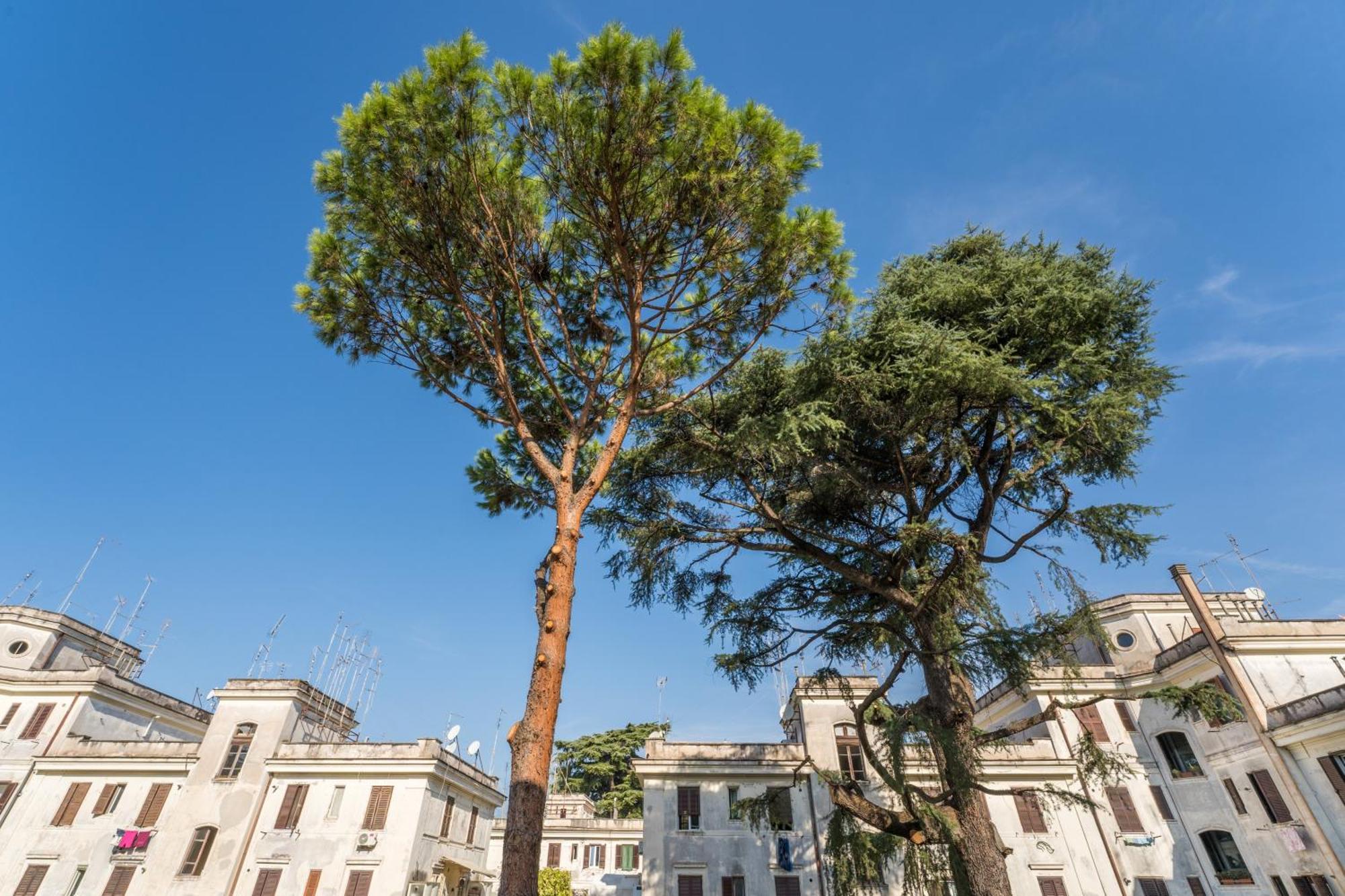 Fisher'S Apartment In Testaccio Rom Exteriör bild